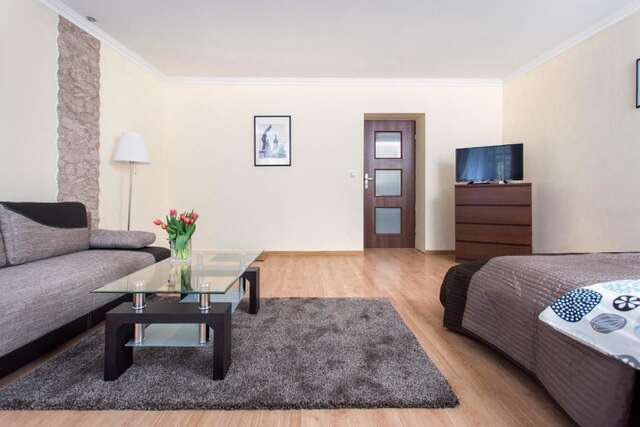 Апартаменты Apartament Dębnicki Краков-29